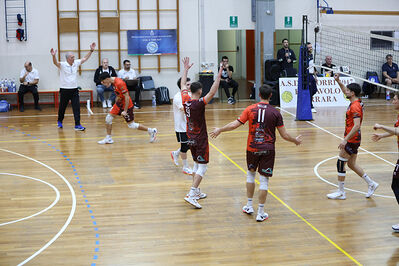 CAVALLINO 4 TORRI - HOKKAIDO BOLOGNA