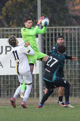 SANPAIMOLA - SPAL ARS ET LABOR