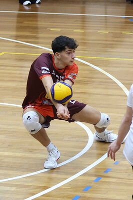 CAVALLINO 4 TORRI - HOKKAIDO BOLOGNA