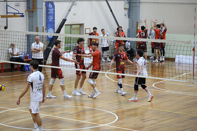 CAVALLINO 4 TORRI - HOKKAIDO BOLOGNA