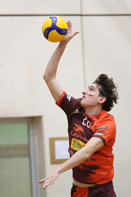 CAVALLINO 4 TORRI - HOKKAIDO BOLOGNA