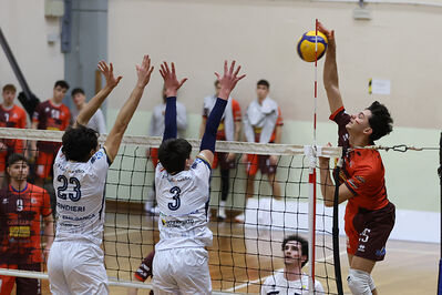 CAVALLINO 4 TORRI - HOKKAIDO BOLOGNA