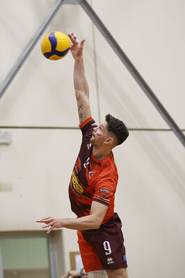 CAVALLINO 4 TORRI - HOKKAIDO BOLOGNA