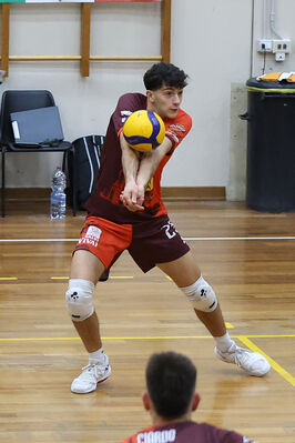 CAVALLINO 4 TORRI - HOKKAIDO BOLOGNA