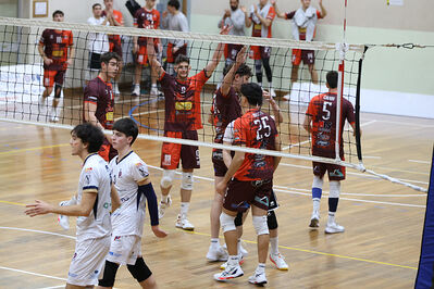 CAVALLINO 4 TORRI - HOKKAIDO BOLOGNA