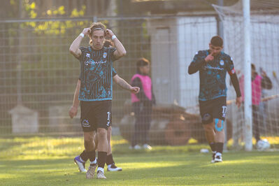 SANPAIMOLA - SPAL ARS ET LABOR