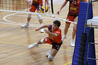 CAVALLINO 4 TORRI - HOKKAIDO BOLOGNA