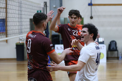 CAVALLINO 4 TORRI - HOKKAIDO BOLOGNA