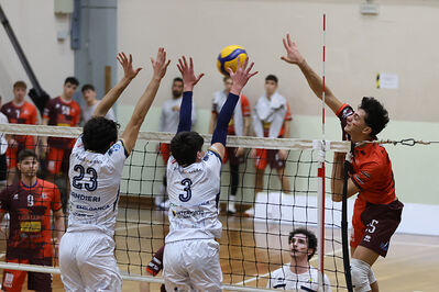 CAVALLINO 4 TORRI - HOKKAIDO BOLOGNA