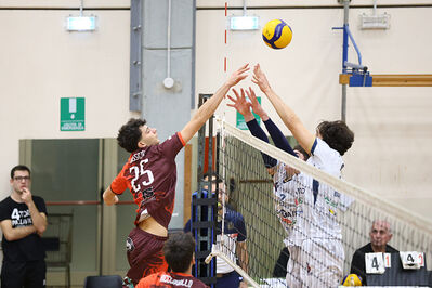 CAVALLINO 4 TORRI - HOKKAIDO BOLOGNA