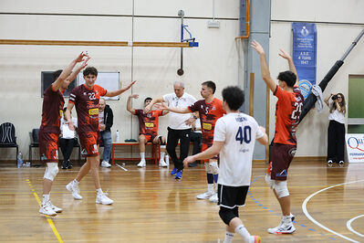 CAVALLINO 4 TORRI - HOKKAIDO BOLOGNA