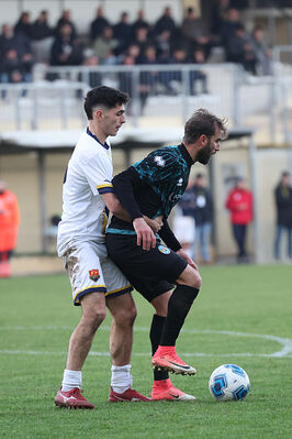 SANPAIMOLA - SPAL ARS ET LABOR