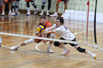 CAVALLINO 4 TORRI - HOKKAIDO BOLOGNA