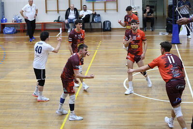 CAVALLINO 4 TORRI - HOKKAIDO BOLOGNA