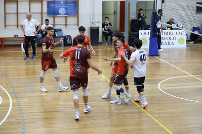 CAVALLINO 4 TORRI - HOKKAIDO BOLOGNA