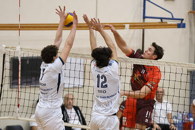 CAVALLINO 4 TORRI - HOKKAIDO BOLOGNA