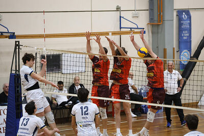 CAVALLINO 4 TORRI - HOKKAIDO BOLOGNA