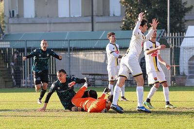 SANPAIMOLA - SPAL ARS ET LABOR