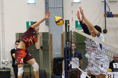 CAVALLINO 4 TORRI - HOKKAIDO BOLOGNA