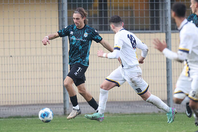 SANPAIMOLA - SPAL ARS ET LABOR