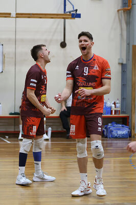 CAVALLINO 4 TORRI - HOKKAIDO BOLOGNA