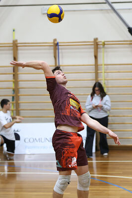 CAVALLINO 4 TORRI - HOKKAIDO BOLOGNA