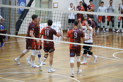 CAVALLINO 4 TORRI - HOKKAIDO BOLOGNA