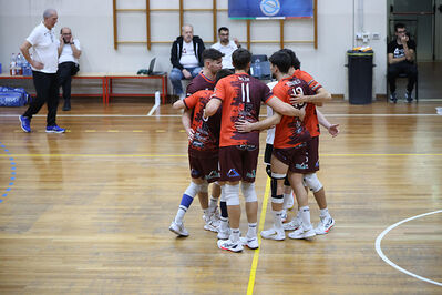 CAVALLINO 4 TORRI - HOKKAIDO BOLOGNA