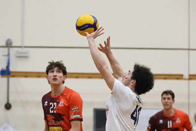 CAVALLINO 4 TORRI - HOKKAIDO BOLOGNA