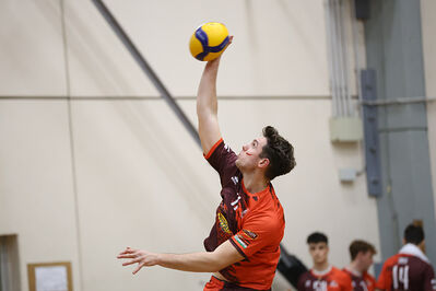 CAVALLINO 4 TORRI - HOKKAIDO BOLOGNA