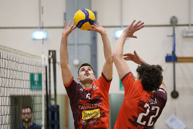 CAVALLINO 4 TORRI - HOKKAIDO BOLOGNA