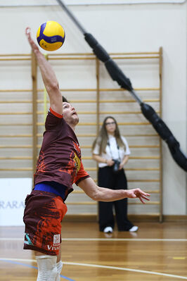 CAVALLINO 4 TORRI - HOKKAIDO BOLOGNA