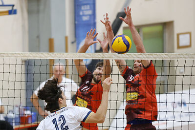 CAVALLINO 4 TORRI - HOKKAIDO BOLOGNA