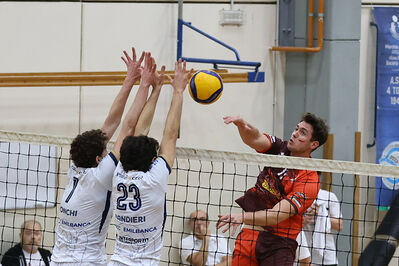 CAVALLINO 4 TORRI - HOKKAIDO BOLOGNA