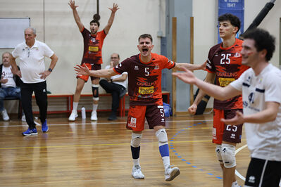 CAVALLINO 4 TORRI - HOKKAIDO BOLOGNA