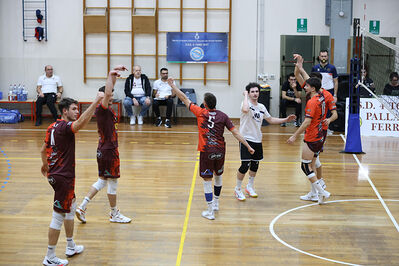 CAVALLINO 4 TORRI - HOKKAIDO BOLOGNA