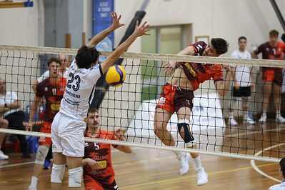 CAVALLINO 4 TORRI - HOKKAIDO BOLOGNA