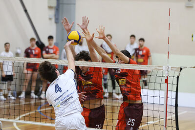 CAVALLINO 4 TORRI - HOKKAIDO BOLOGNA