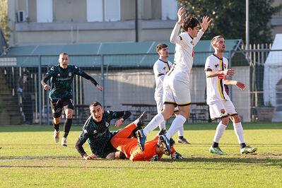 SANPAIMOLA - SPAL ARS ET LABOR