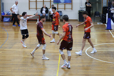 CAVALLINO 4 TORRI - HOKKAIDO BOLOGNA