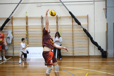 CAVALLINO 4 TORRI - HOKKAIDO BOLOGNA