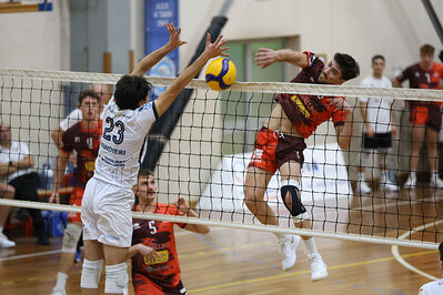 CAVALLINO 4 TORRI - HOKKAIDO BOLOGNA