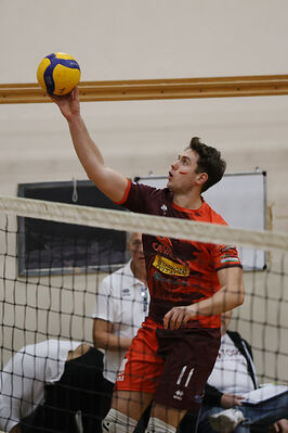 CAVALLINO 4 TORRI - HOKKAIDO BOLOGNA