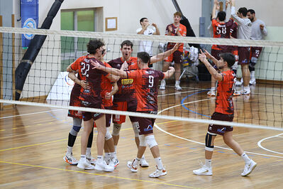 CAVALLINO 4 TORRI - HOKKAIDO BOLOGNA