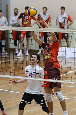 CAVALLINO 4 TORRI - HOKKAIDO BOLOGNA