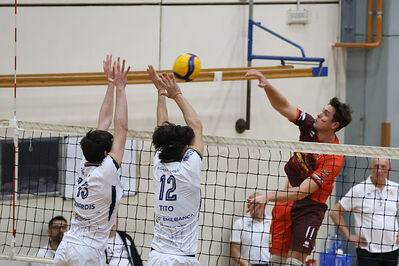 CAVALLINO 4 TORRI - HOKKAIDO BOLOGNA