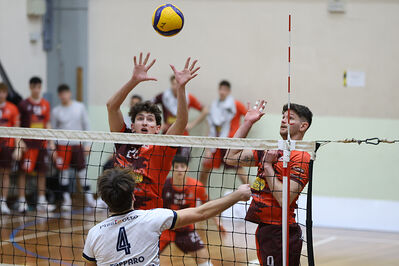 CAVALLINO 4 TORRI - HOKKAIDO BOLOGNA