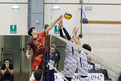 CAVALLINO 4 TORRI - HOKKAIDO BOLOGNA