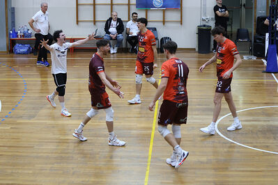 CAVALLINO 4 TORRI - HOKKAIDO BOLOGNA