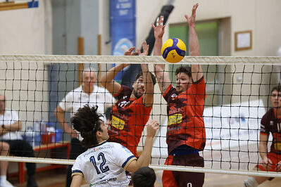 CAVALLINO 4 TORRI - HOKKAIDO BOLOGNA